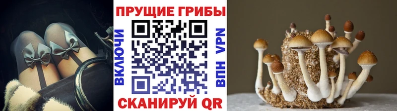 магазин продажи   Удачный  Галлюциногенные грибы мухоморы 